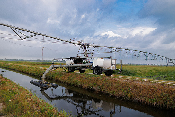 Seminis2022_FL_JEM_3279