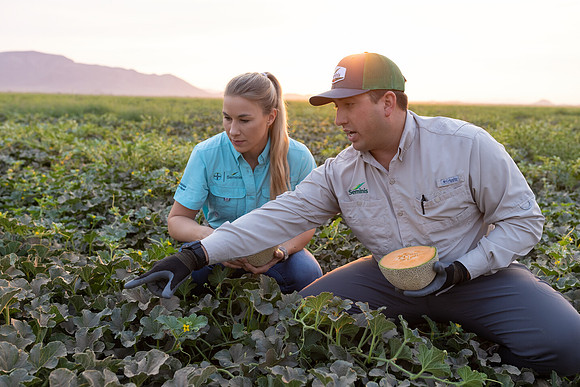 Seminis2021_AZ_421