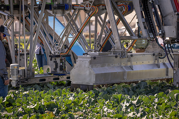 CytheHarvester_SJB_FieldDay2025_90