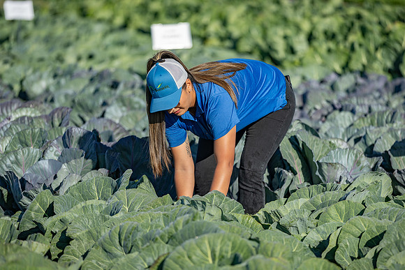 Seminis_SJB_FieldDay2025_552