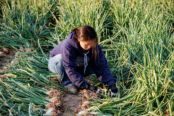 Seminis2022_Idaho_1401