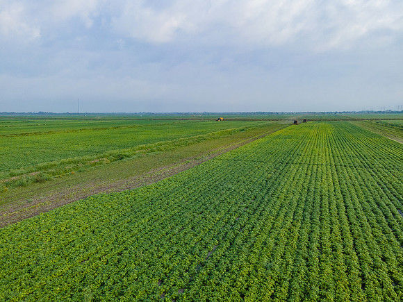 Seminis2022_FL_JEM_3760
