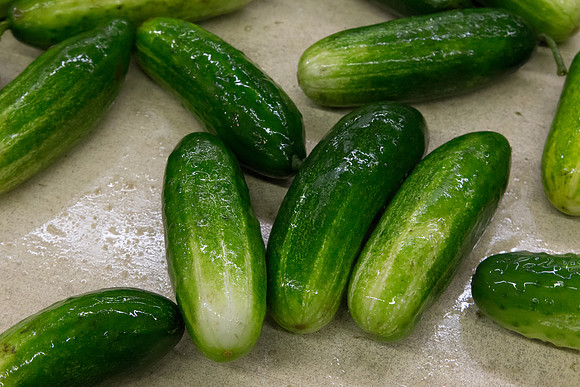 PicklingCucumber_Vlaspik_Processing_MI_0157