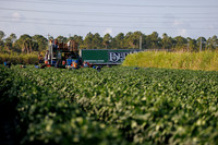 Seminis2022_FL_Bedner_87
