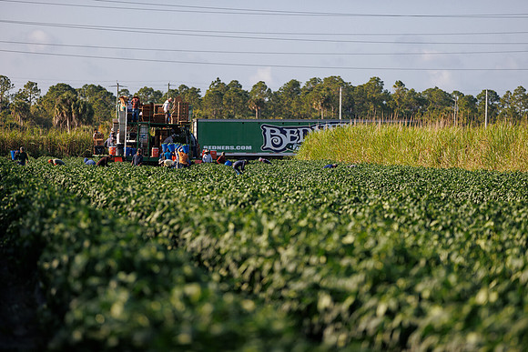 Seminis2022_FL_Bedner_87