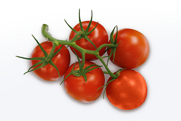 Tomato_Prodice_16_2