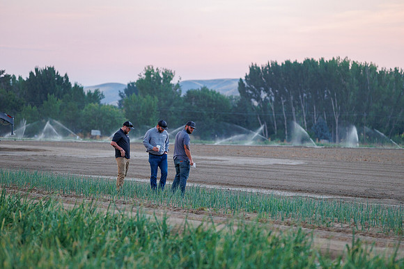 Seminis2022_Idaho_456