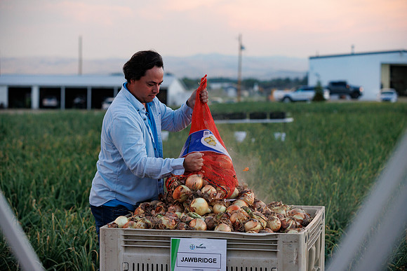 Seminis2022_Idaho_391