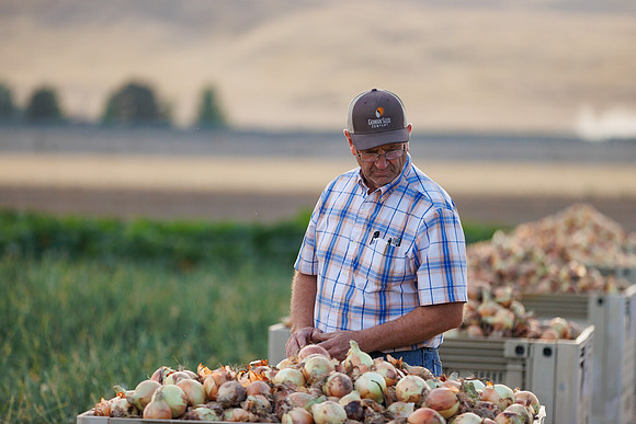 Seminis2022_Idaho_1754