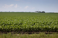 ISA_Stock_cdp_13