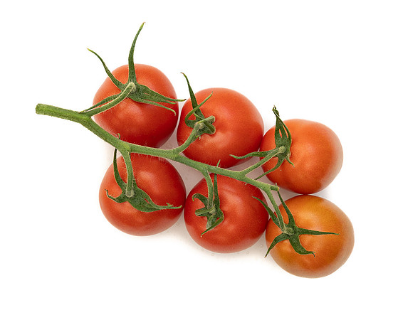 Tomatoes_DRTH4101_17