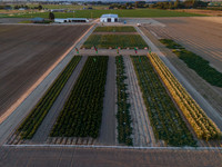 Seminis2022_Idaho_9