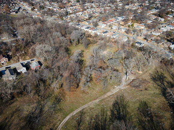 Greenwood_62