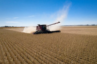 NL_Soybean_Harvest_2019_d_48