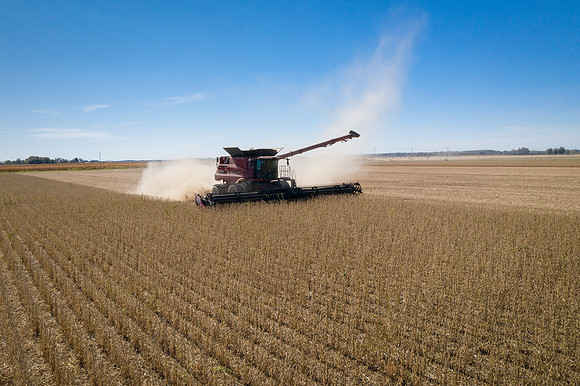 NL_Soybean_Harvest_2019_d_48