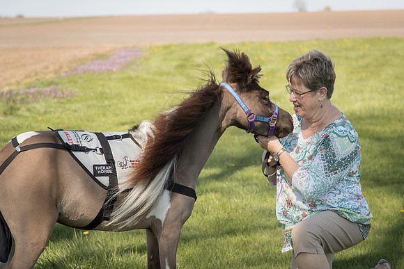 AmericasFarmers_HeartlandMiniHorses_700