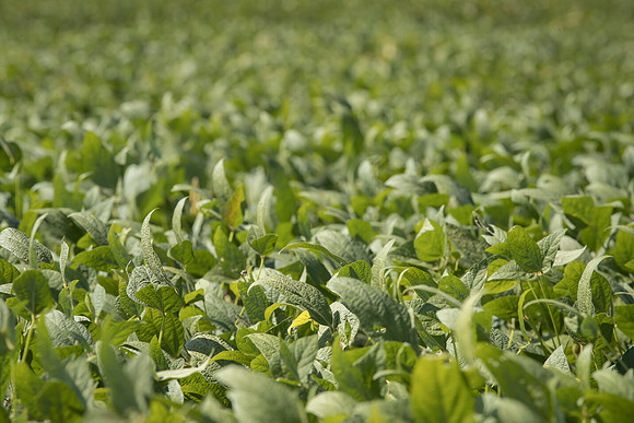 BrianAtteberry_194