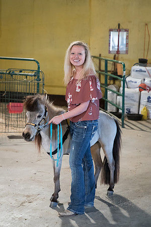 AmericasFarmers_HeartlandMiniHorses_665