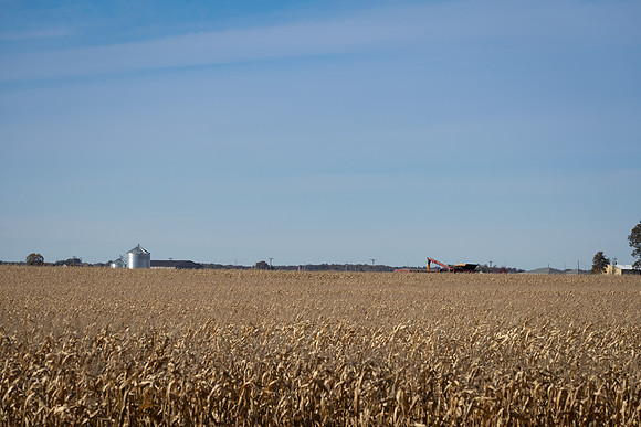 NL_Corn_Harvest_2019_c_13