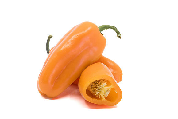 Pepper_Katzi_12