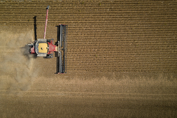 NL_Soybean_Harvest_2019_d_22