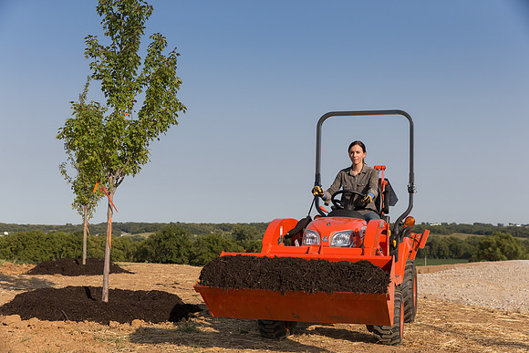 Kubota_BX25D_CDP2015_1385