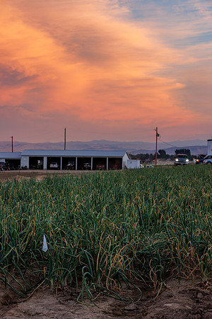 Seminis2022_Idaho_219-HDR