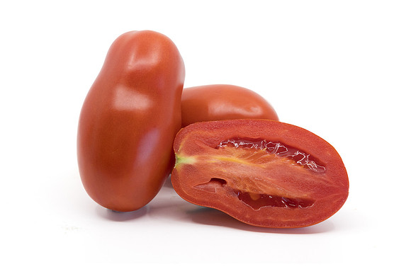 Tomato_N6485_11