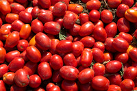 Tomato_SV2493TM_CA_00002