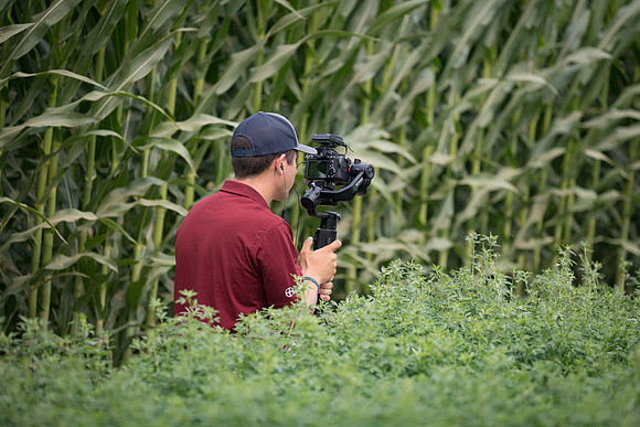 Seminis2021_Woodland_5592