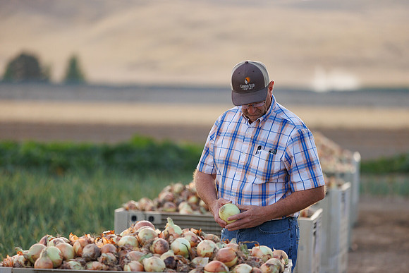Seminis2022_Idaho_1764