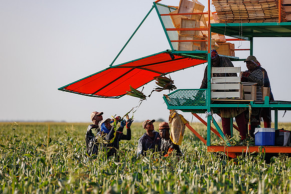Seminis2022_FL_JEM_1043