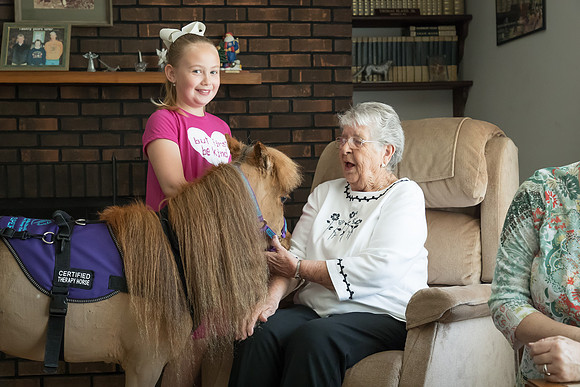 AmericasFarmers_HeartlandMiniHorses_251