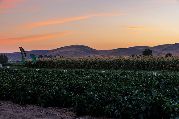 Seminis2022_Idaho_205-HDR