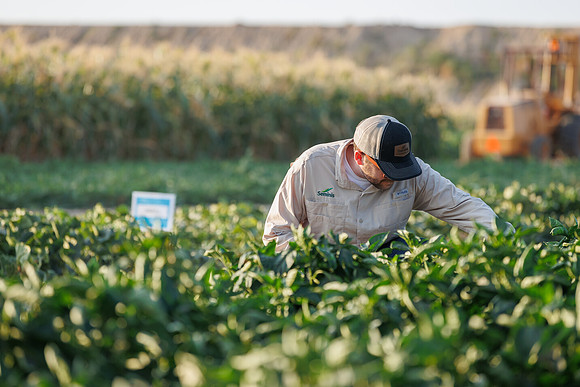 Seminis2022_Idaho_1521