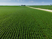 ISA_Stock_cdp_78