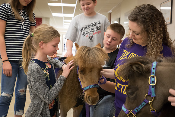AmericasFarmers_HeartlandMiniHorses_550