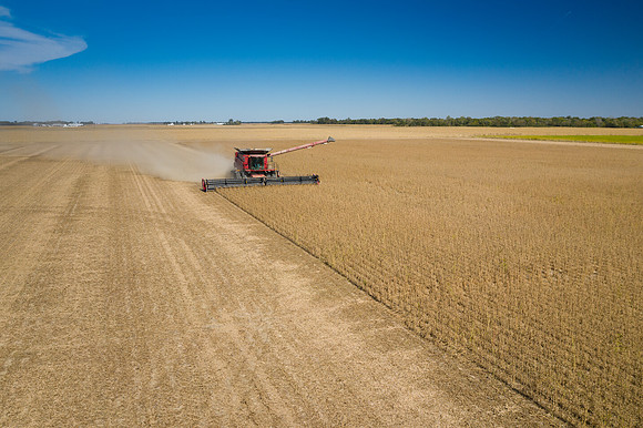 NL_Soybean_Harvest_2019_d_14