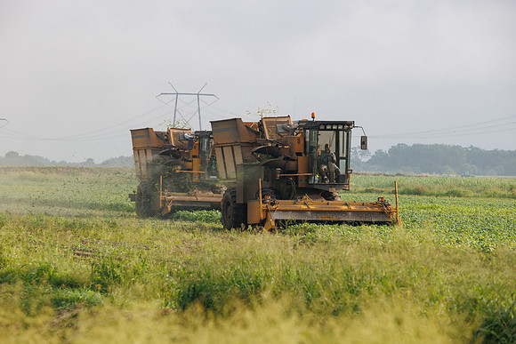 Seminis2022_FL_JEM_3358