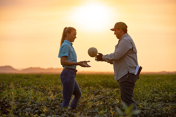 Seminis2021_AZ_616
