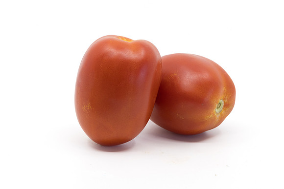 Tomato_N6492_4