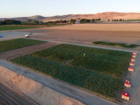 Seminis2022_Idaho_15