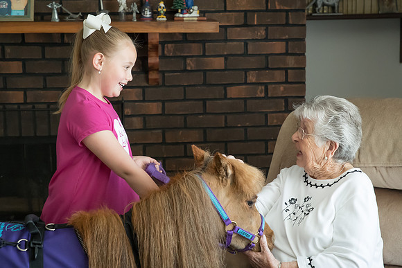 AmericasFarmers_HeartlandMiniHorses_295