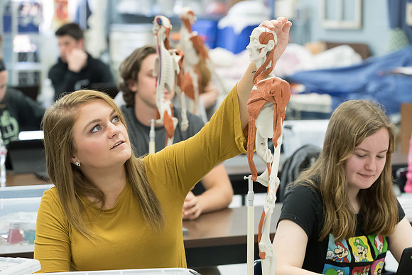 AmericasFarmers_BallardCountyHS_1058