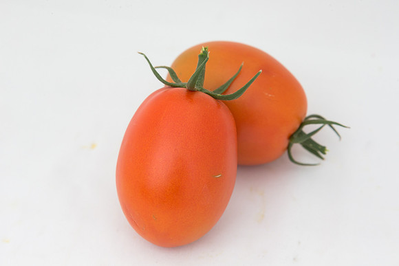 Tomato_4179_MX_Group_0004