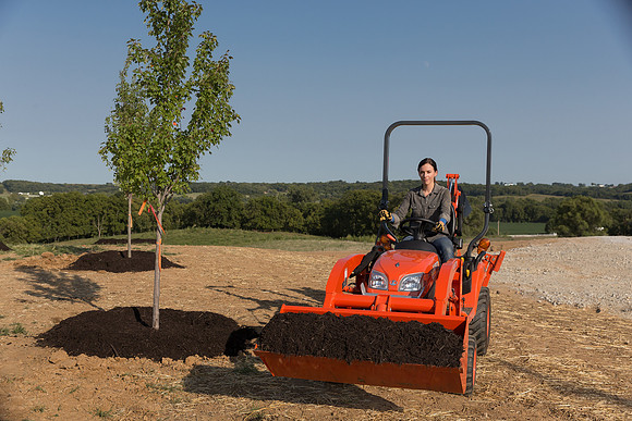 Kubota_BX25D_CDP2015_1383