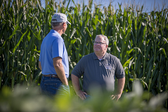 MarkRead_945