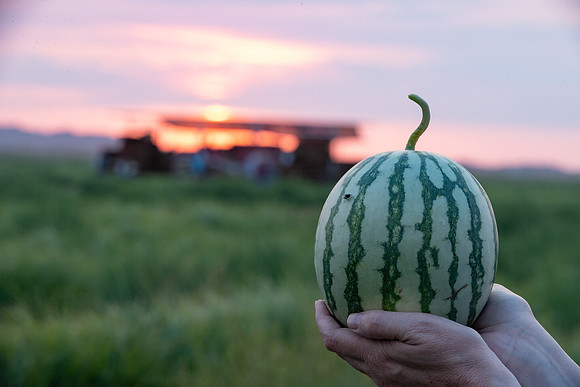 Seminis2021_AZ_42