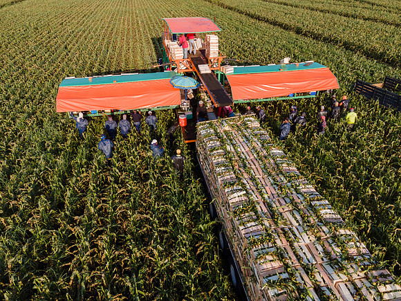 Seminis2022_FL_JEM_1214