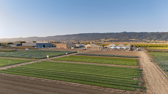 Seminis_SJB_FieldDay2025_24